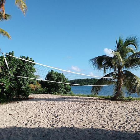 Studio 4 Casiguaya With Garden Access Vieques Ngoại thất bức ảnh